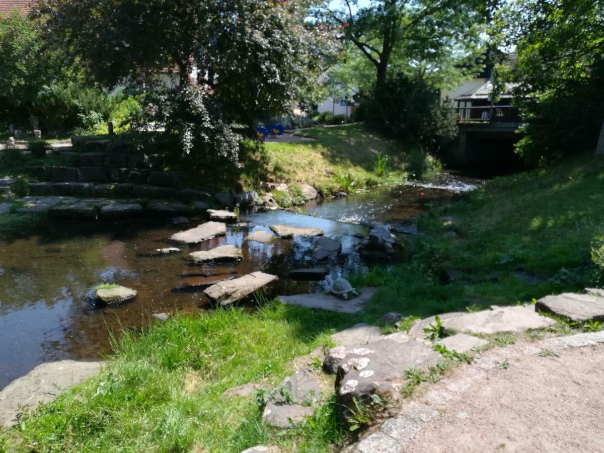 Am Sommerberg Unterkirnach ภายนอก รูปภาพ